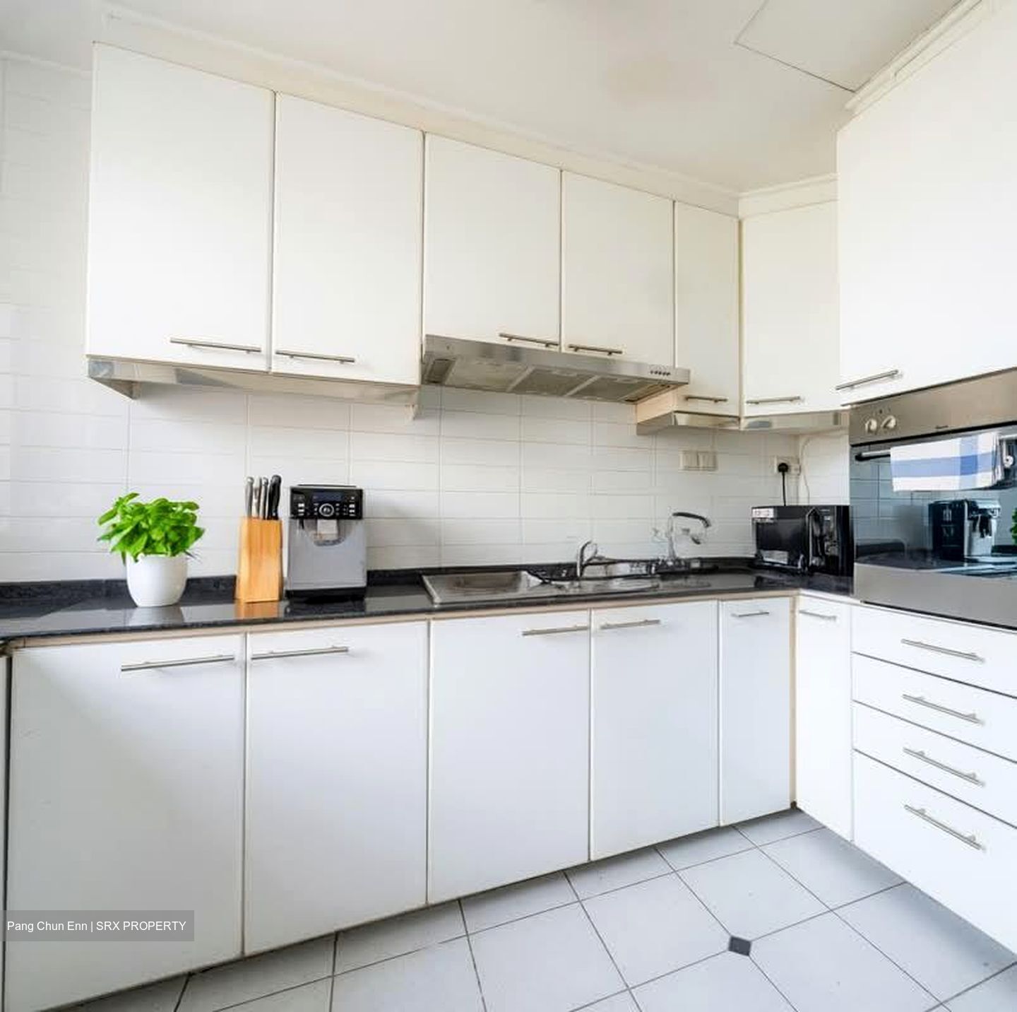 Springdale Condominium (D21), Condominium #576726231